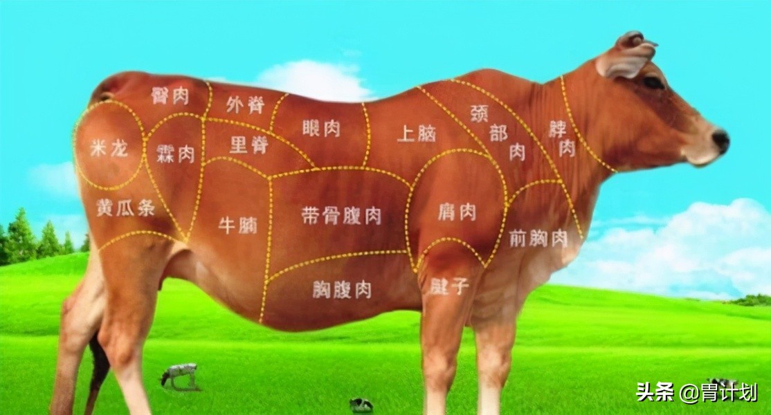 牛肩肉美食制作指南：简单易学的美味烹饪方法
