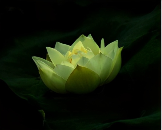 洪荒小说——四大混沌至宝