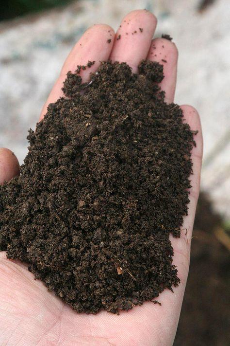 土壤有机质,土壤有机质含量的测定