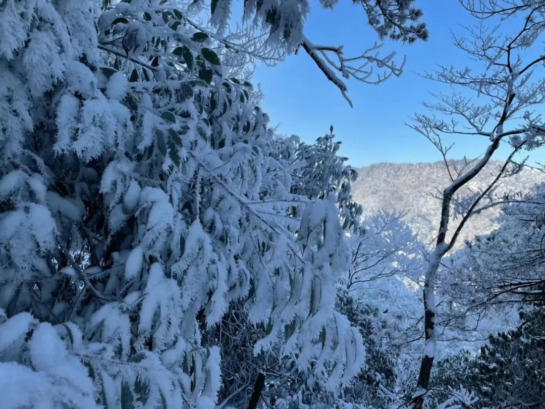 12月杭州哪里可以滑雪(千米高山，十年品牌，临安大明山万松岭滑雪场昨天开滑)