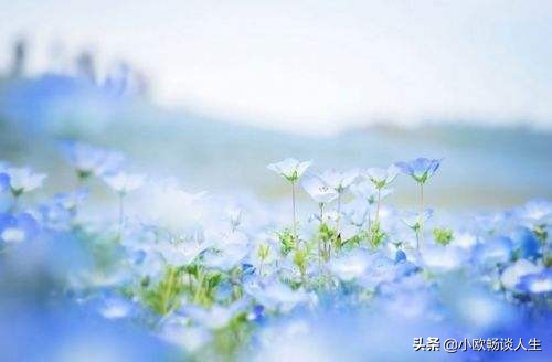 别让自己活得太累，放下沉重的包袱，轻松前行，无愧于心便好