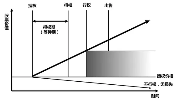 阿里"编外候补美女高管"的千万期权是否真实？