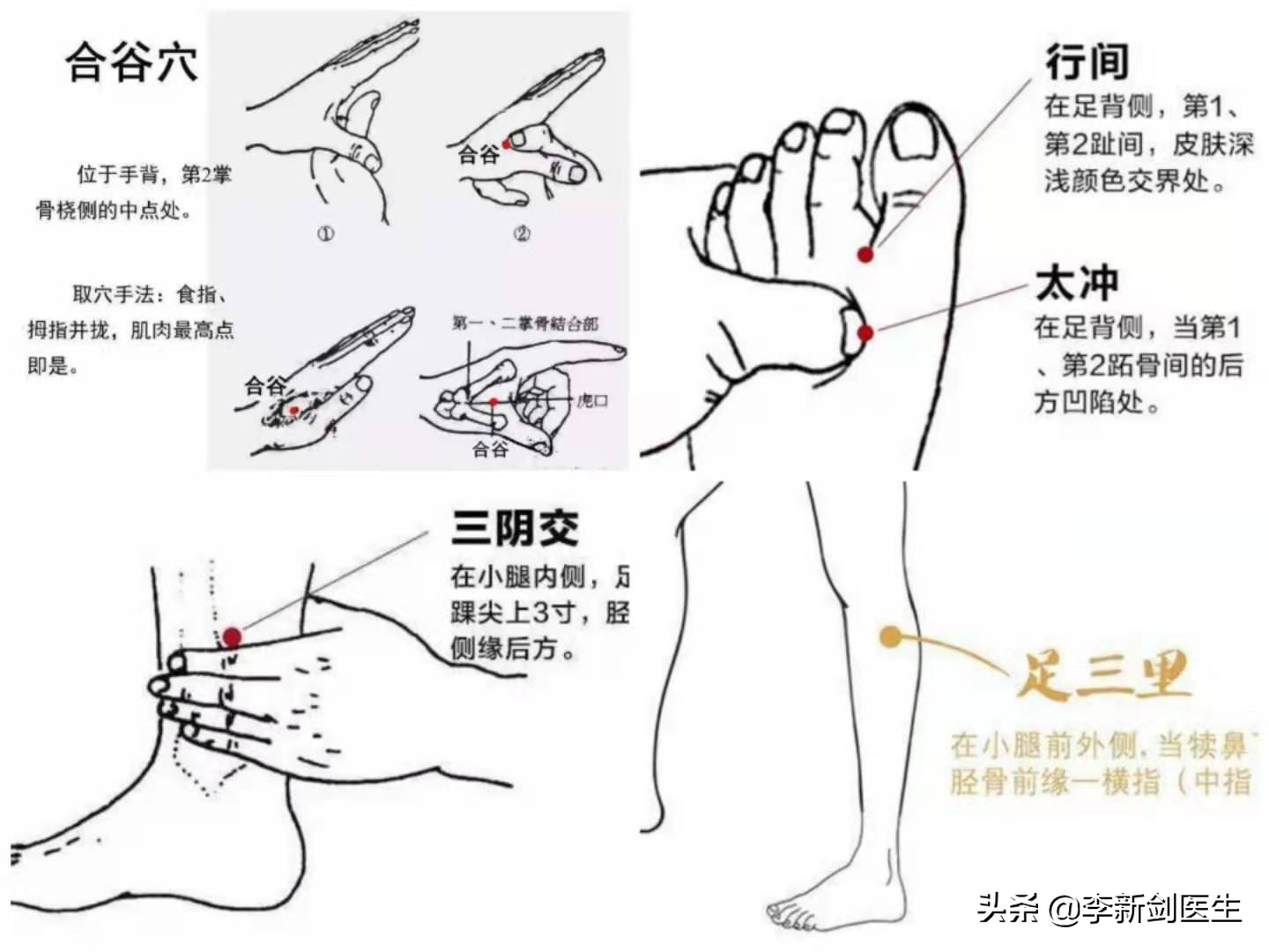 太沖準確位置圖和作用及功效肝經原穴太沖