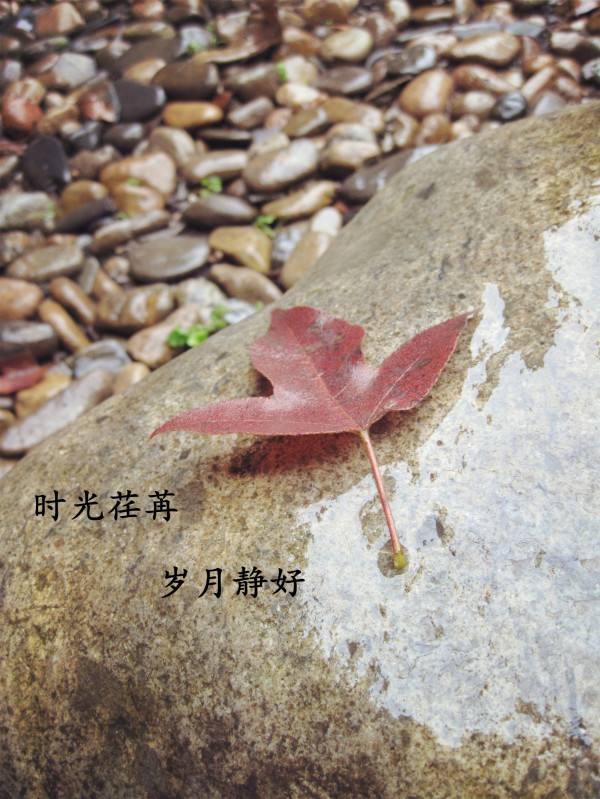 不负光阴不负卿