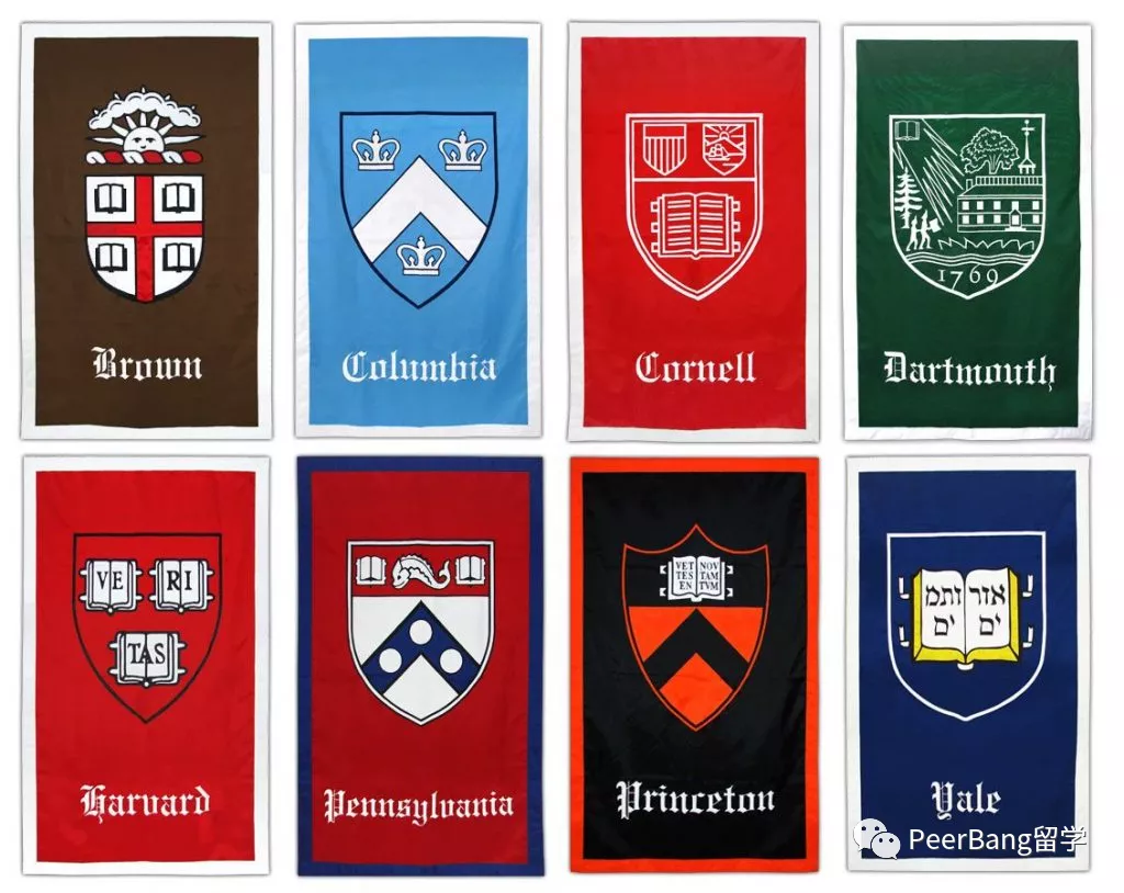 藤校学生「最爱专业」曝光！为什么大部分人都选了文科？