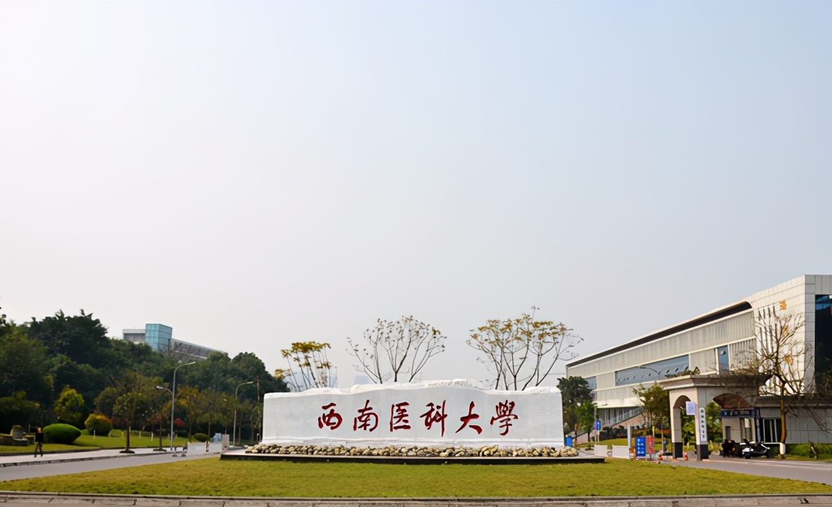 no.1西南医科大学