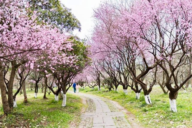 杭州旅游十大必去打卡景点