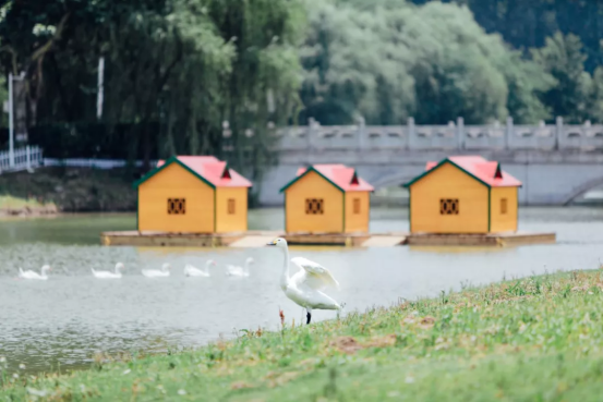 江苏高校智能豪华宿舍上热搜，夏有空调冬有暖气！网友：南方也供暖，慕了！