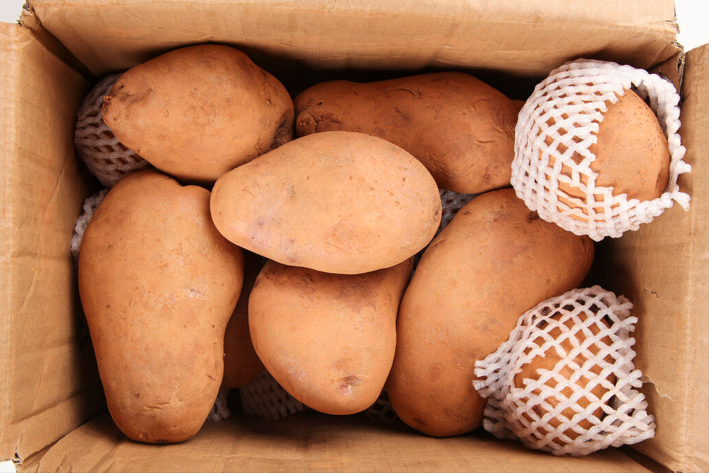 储存土豆有诀窍，分享一个土方法，不变绿不发芽，放一冬天也不坏