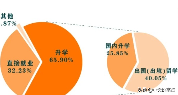 南科大已启动2021高考招生，985分数读双非南科大，值得么