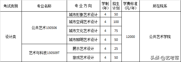 艺考生报考四川美术学院：扬长避短应该把握的4个方面问题