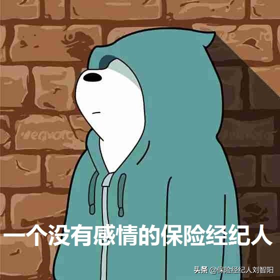 太平洋人寿金福人生产品评测