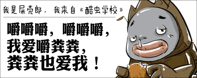 团子嘛嘛强烈推荐儿童读物（二）  -------《酷虫学校》系列