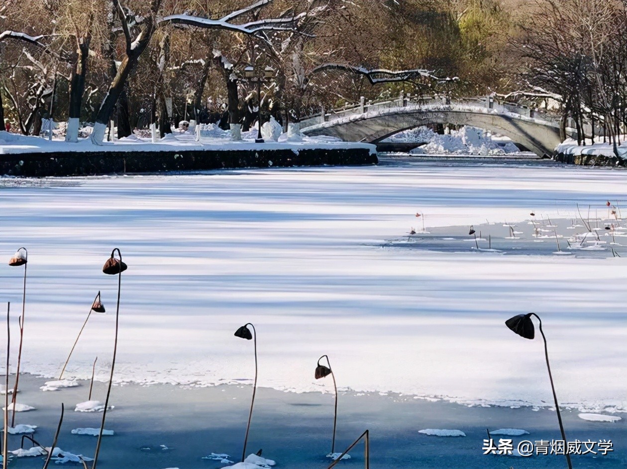 初雪｜千峰缥缈是蓬莱（诗词八首）