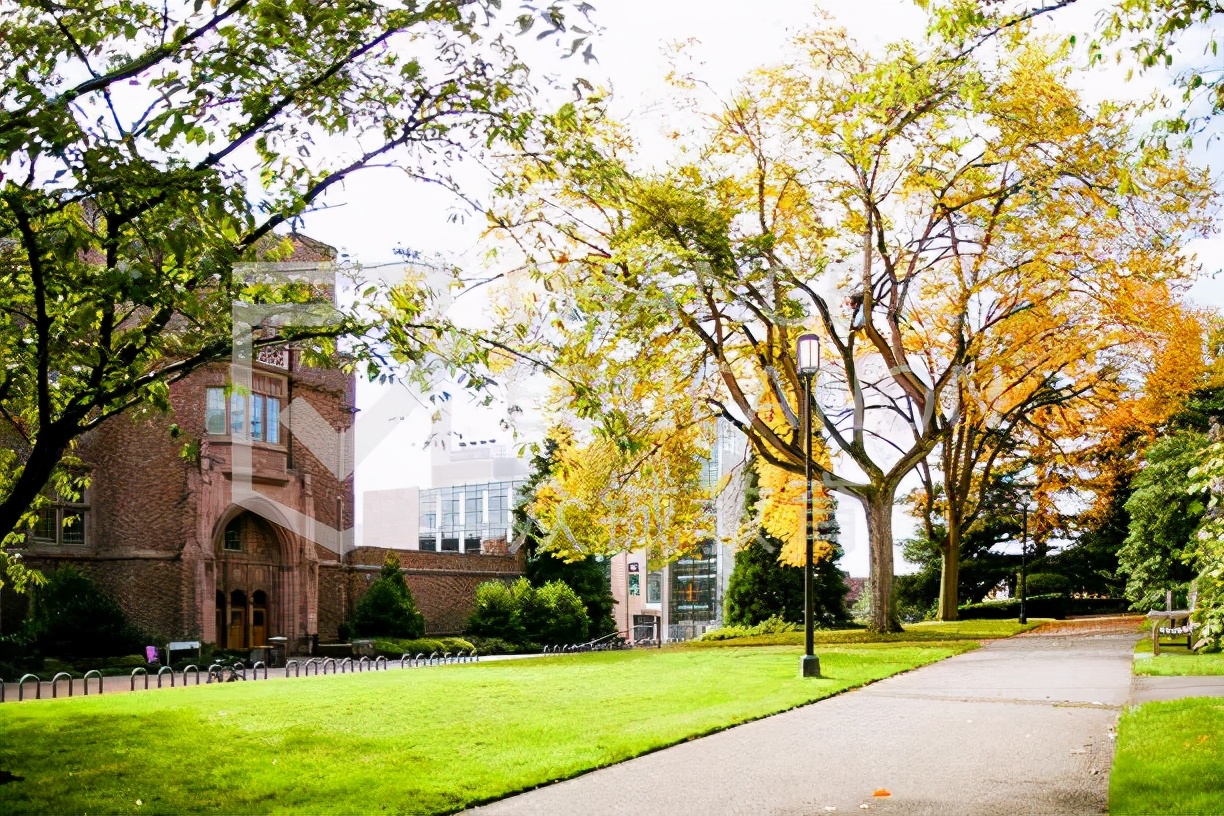 成人高考选什么学校和专业？看这一篇就够了