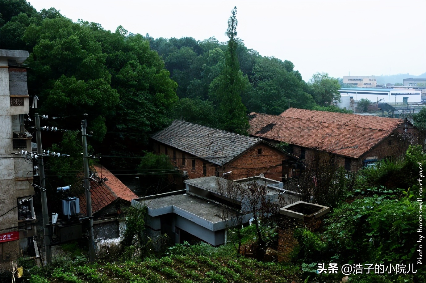 湖南第一纸板厂改制前（往事如烟，似水流年，湖南第一纸板厂掠影）