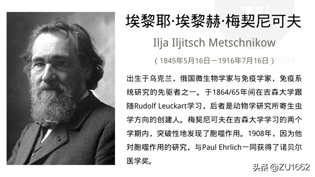 吉森大学，距离法兰克福很近的公立大学