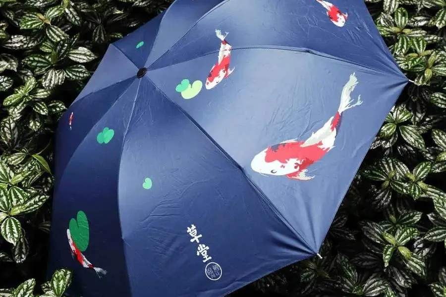 秋雨绵绵|执伞细雨中,漫步草堂间