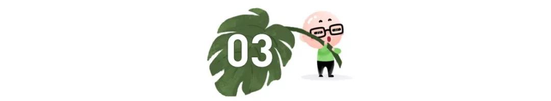 黄多多弹钢琴何炅怒赞：人生最大的遗憾不是我不行，而是我本可以