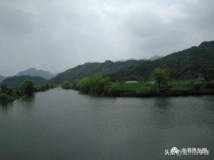 全面解读“望里”