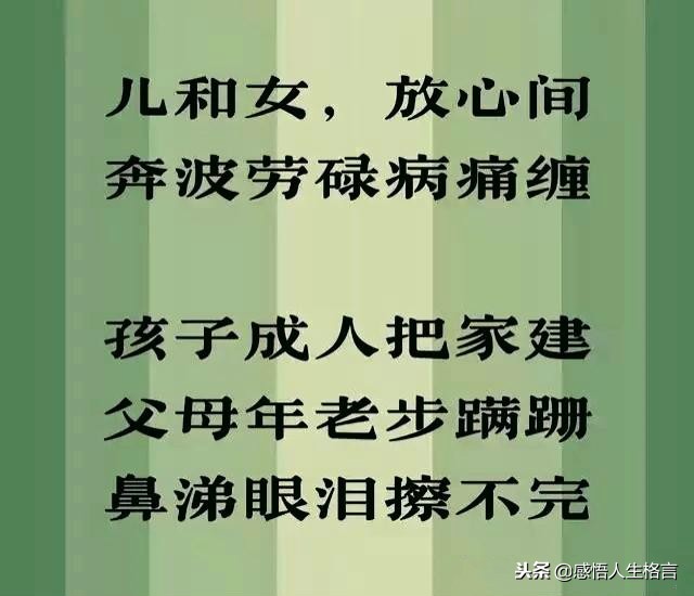 不孝到头终有报，劝君莫把老人嫌