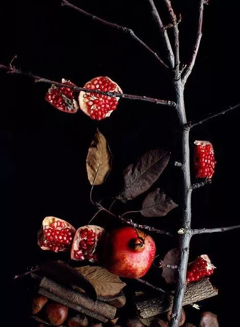 北京这个学校很“火”！坐拥3大花园、果园、动物园，集美貌与知识于一体！