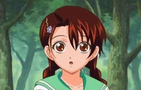 加油网球王子湘南教练（网球王子中几位出色女性角色，龙崎樱乃娇羞，不二由美子成熟！）