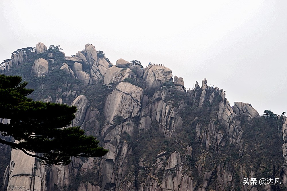 迎客松在哪里（黄山大名鼎鼎的黄山迎客松景点分享）