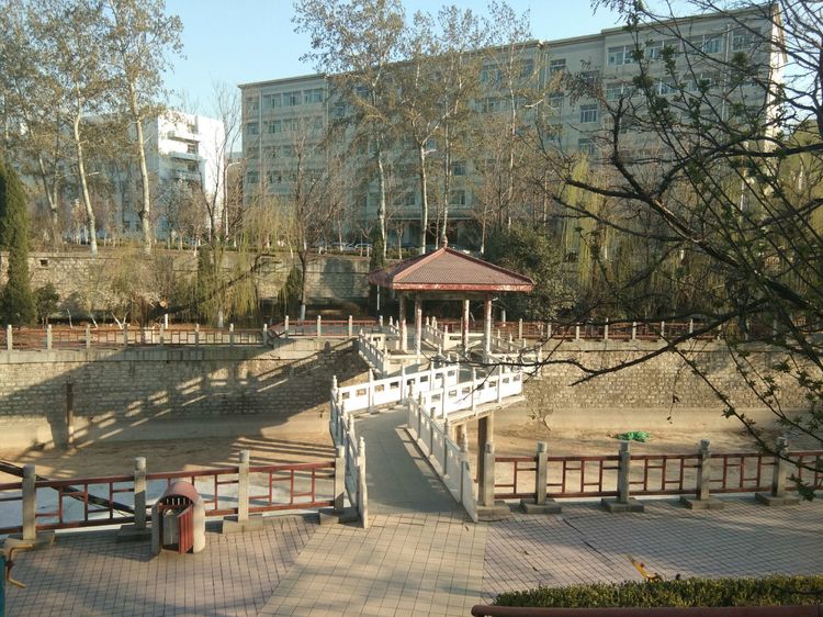 梦想花开，走进山东财经大学的春天！