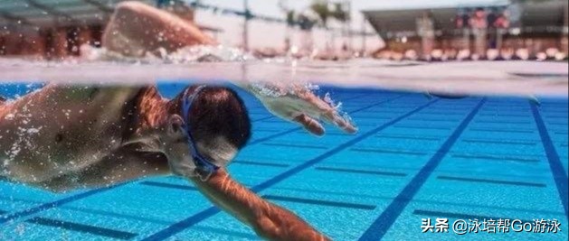 自由泳如何转身带胳膊(自由泳「转肩」的重要性与练习方法，没有转肩就没有划手)