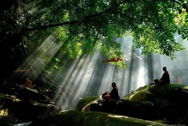 常悲秋叶下，不敢作诗说——诗词答复第二弹，以及重字对诗的影响