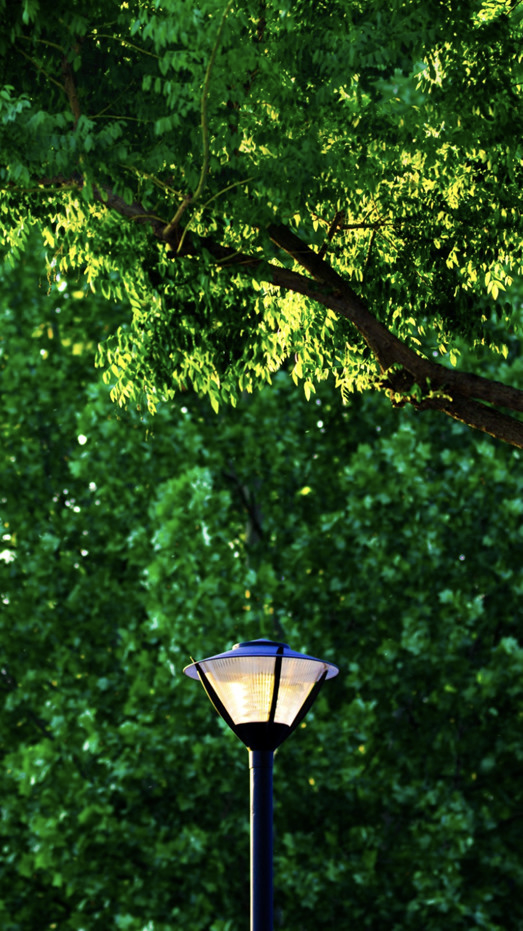 你的理想大学，终于被做成了手机壁纸