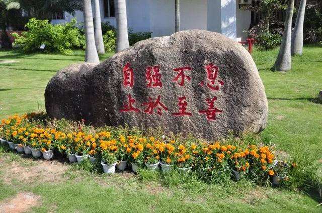 中山大学校训的解读,中山大学校训议论文-爱妻自媒体
