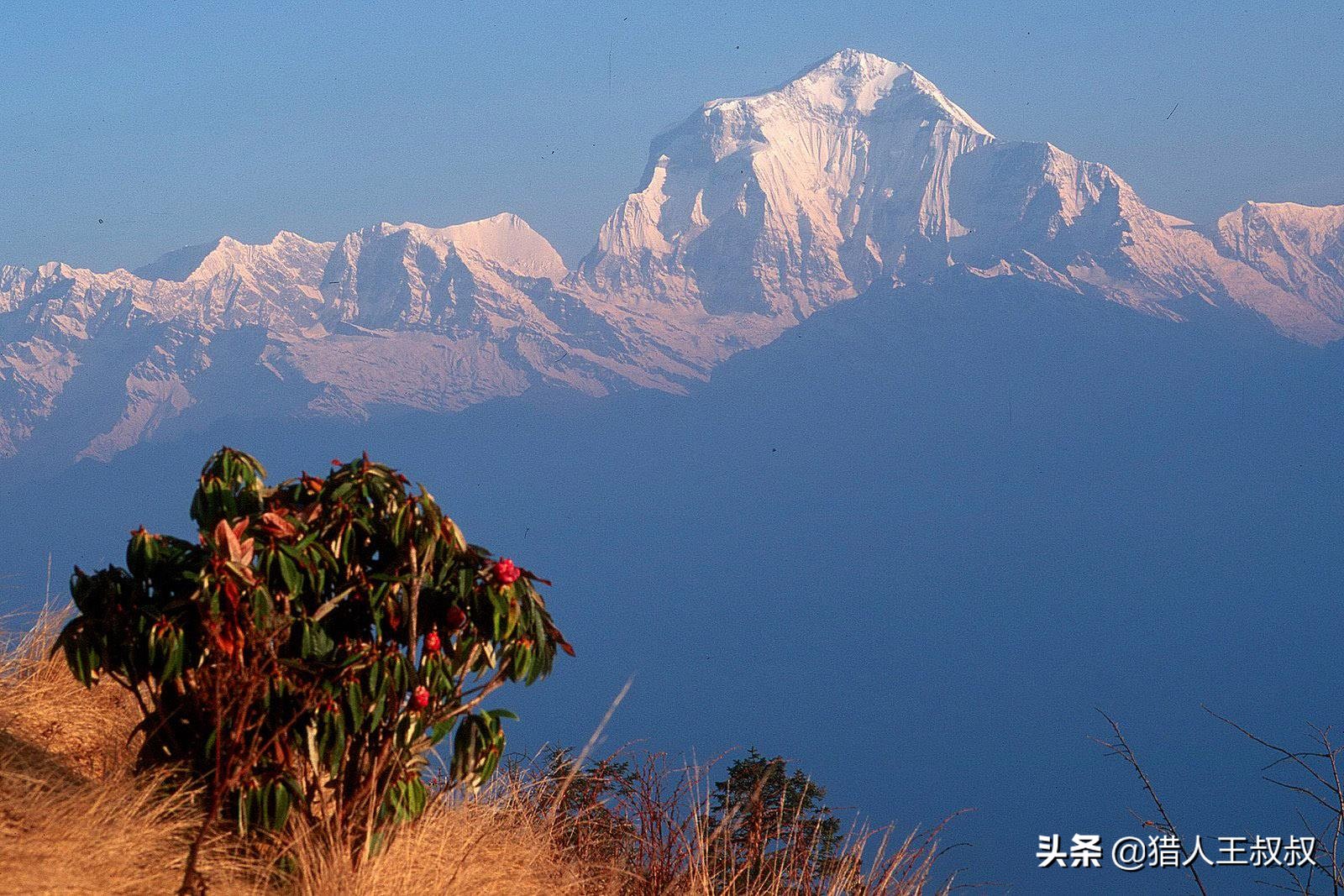 世界上最高的山峰 世界上最高的十座山峰_城通表業