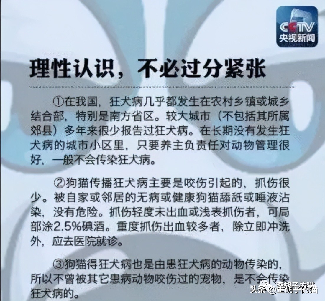 我被猫咪抓伤了，会死吗？《最全猫咪狂犬病脱恐大全》