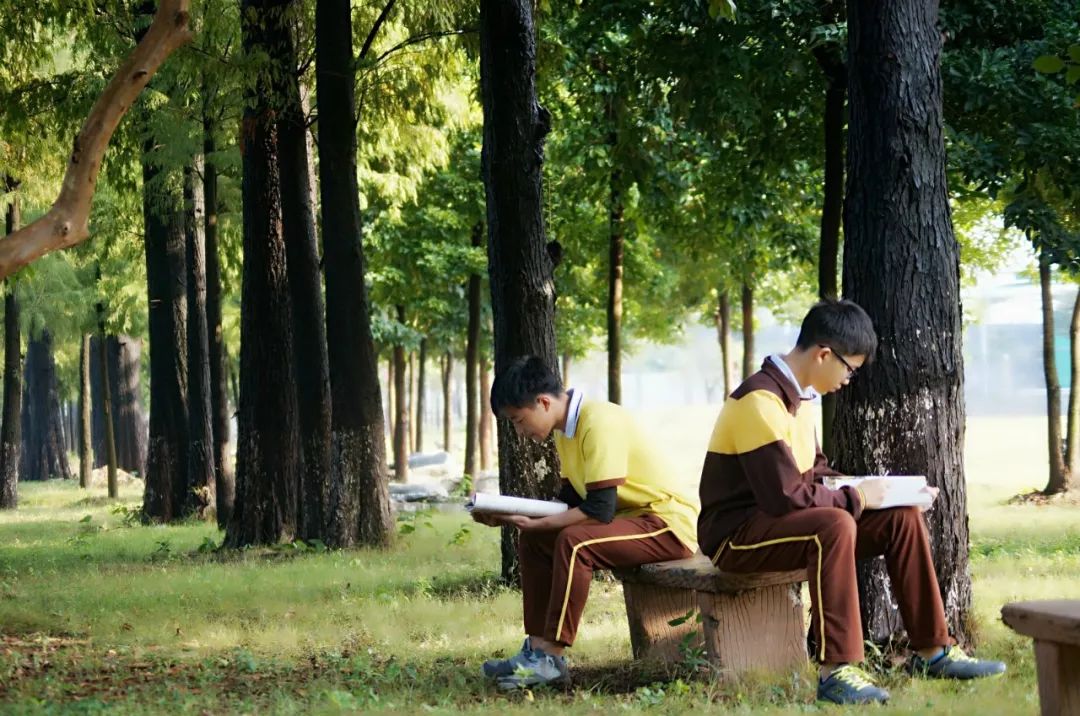 东莞市翰林实验学校丨这里每10个学生，有近5个考上重点大学