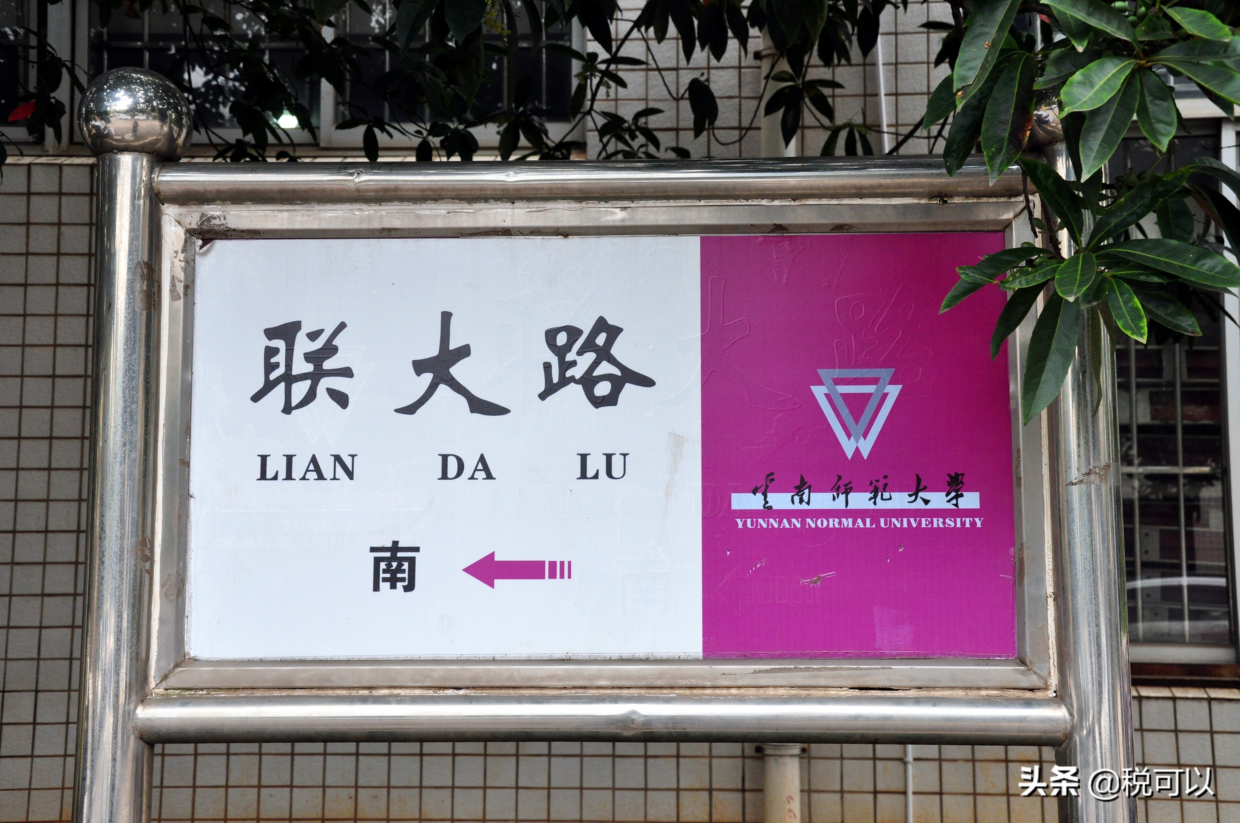 云南师范大学，和80年前的西南联大，到底啥关系？