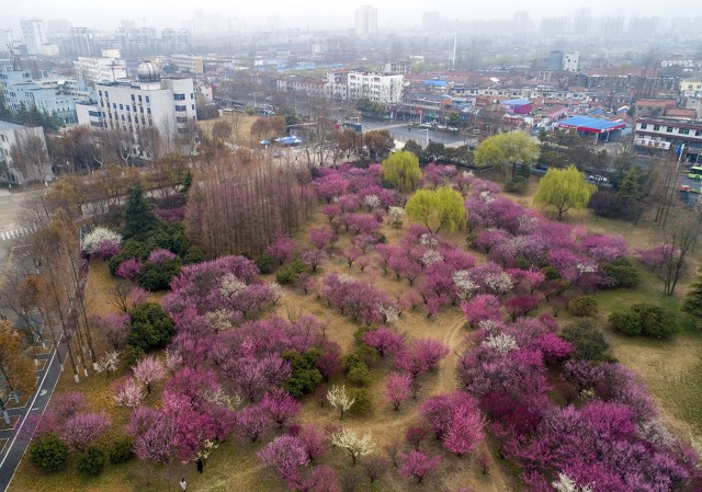 江苏各市高教实力一览：南京第一，镇江第四，无锡只有一所公办