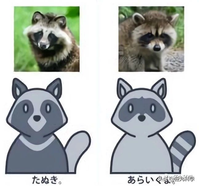方便面上画得不是小浣熊？难怪一多半人分不清这些萌物