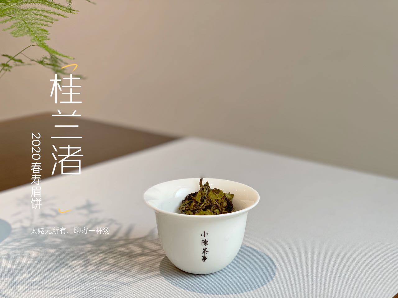 撬白茶饼的错误方法，老虎钳我忍了，微波炉加热是什么操作？
