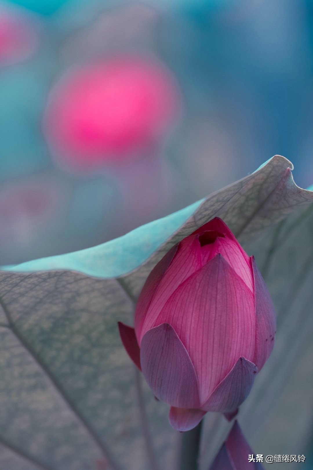 剑未佩妥，出门已是江湖——50句古风文艺诗句，美到窒息