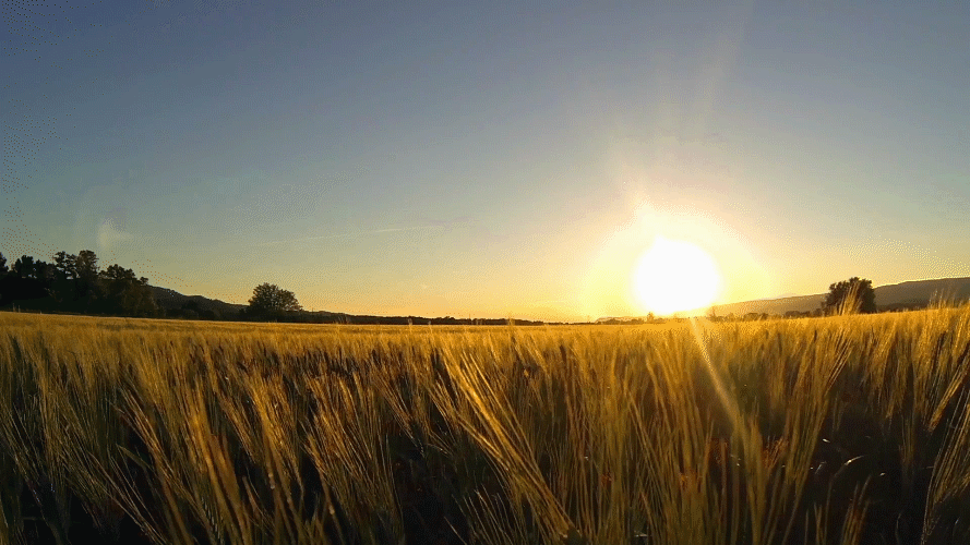 会计本科专业人才的社会需求——标准很高，能做到一半就是牛人