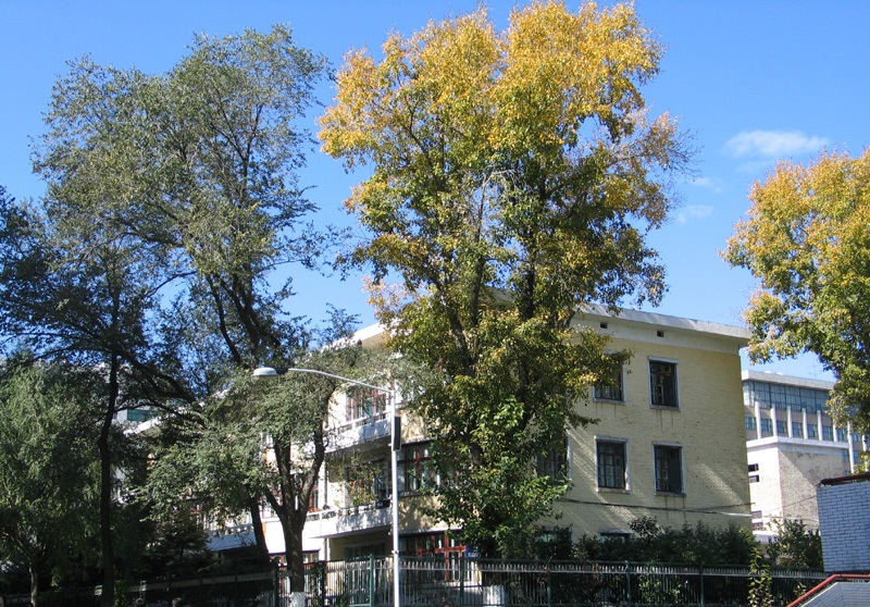 配得上“国家脊梁”的大学有哪些，这三所应该毫无悬念