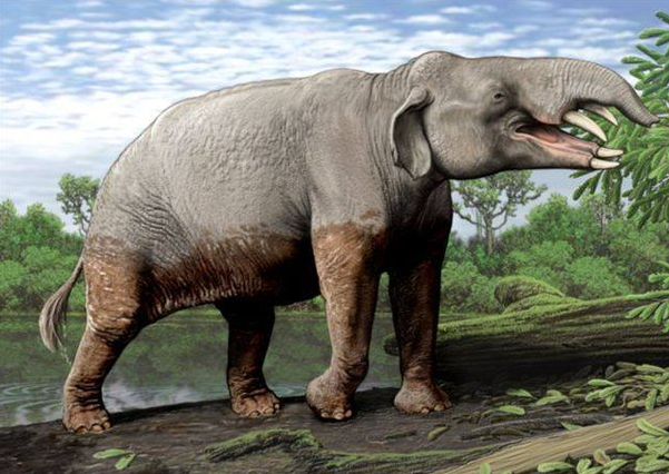 大象的特点(从身披长毛到皮肤褶皱，了解大象的进化史，现在它们都放弃象牙了)