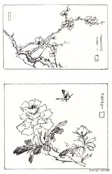 一学就会画——小写意禽鸟画法