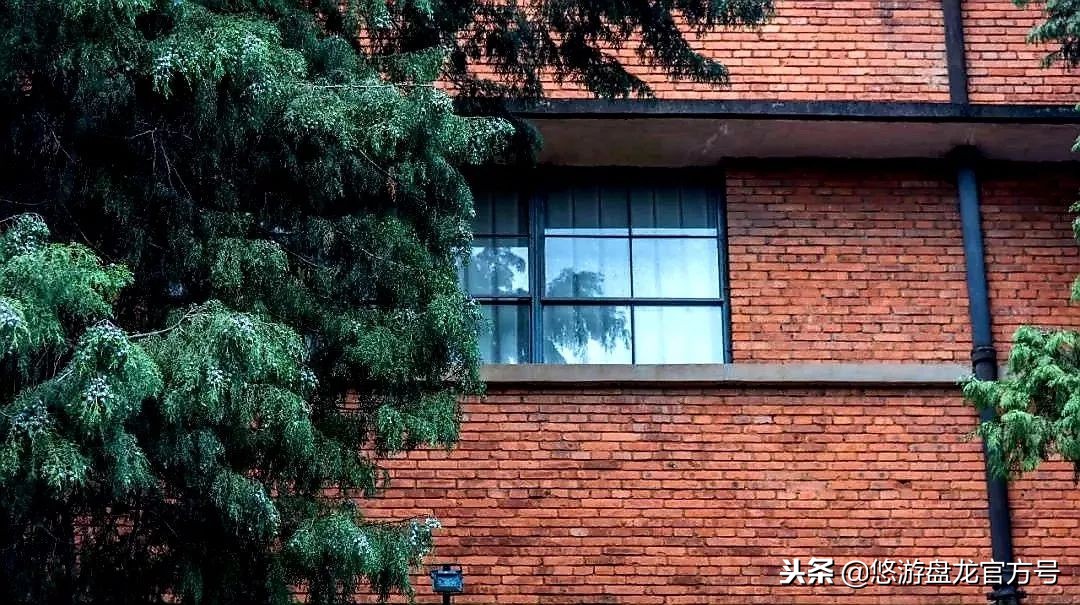 资讯｜昆明绝佳十大文艺拍照圣地，全部去过的请举手！