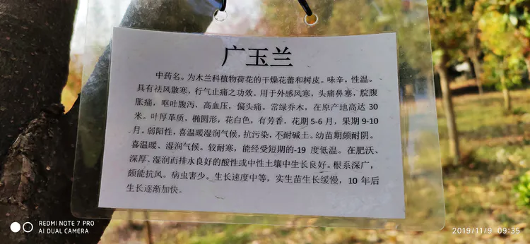 陪你一起看湖北省广水一中①——走进植物王国