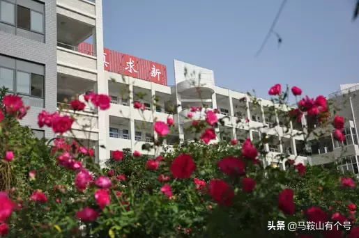 骄傲！马鞍山这5所中学入选国家级榜单！有你母校吗？