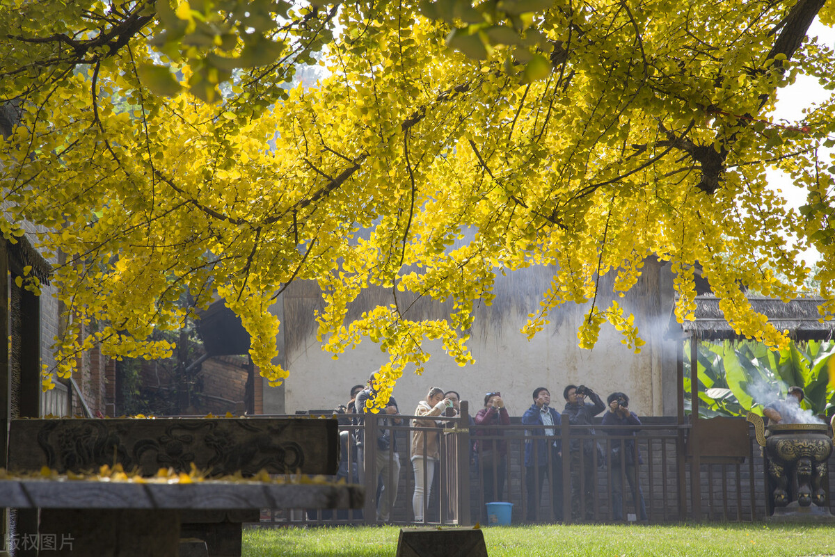 西安灞桥区和长安区哪个好？