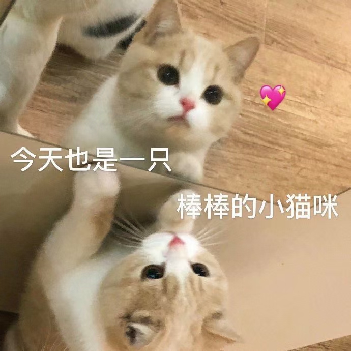 能把人笑死的群名 沙雕群名